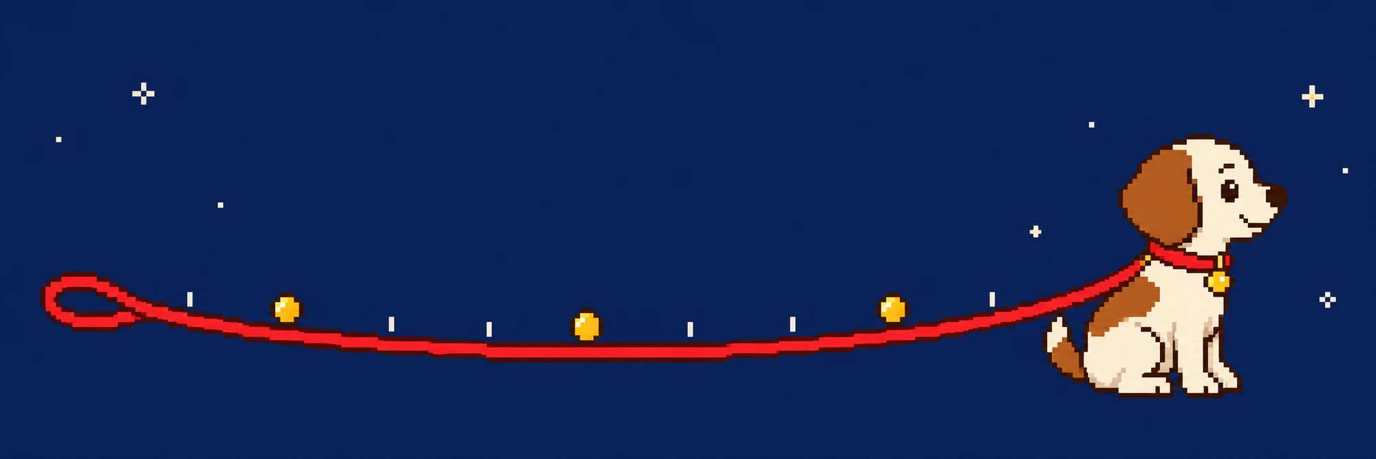 A dog on a long red leash, with gold coins marking the limits along it